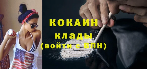 дживик Володарск