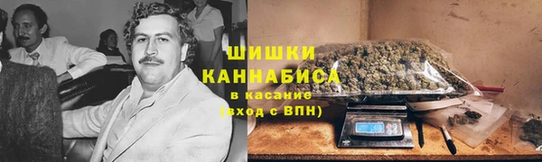 spice Верхний Тагил