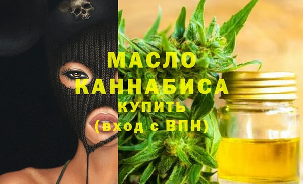 дживик Володарск