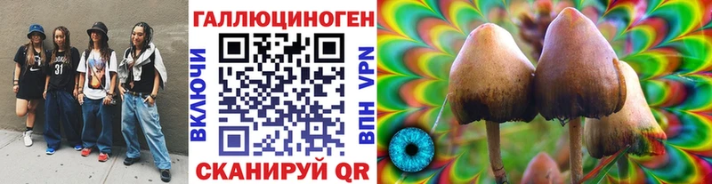 mega как войти Гагарин Псилоцибиновые грибы GOLDEN TEACHER